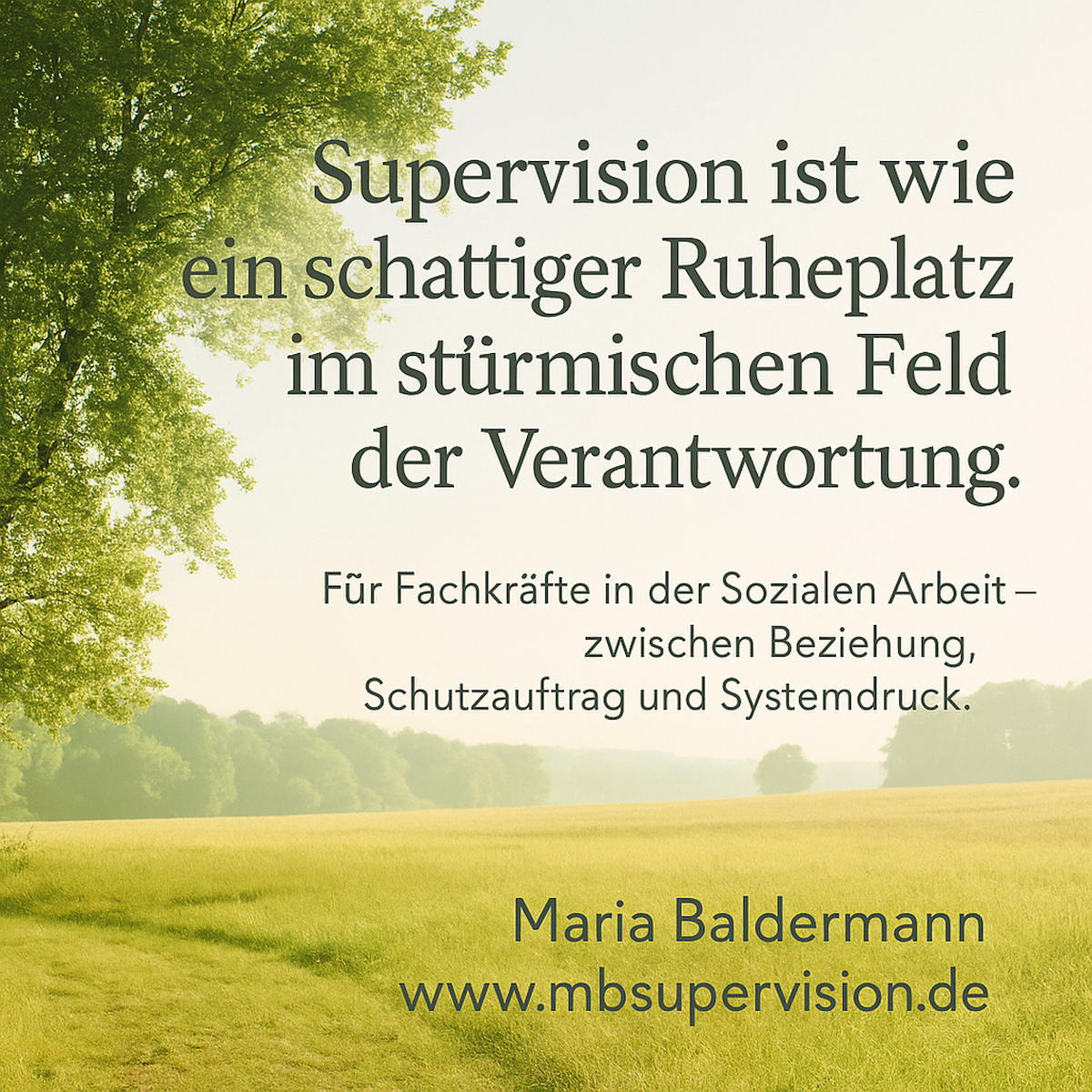 Supervision ist wie ein schattiger Ruheplatz im stürmischen Feld der Verantwortung. Für Fachkräfte in der Sozialen Arbeit - zwischen Beziehung, Schutzauftrag und Systemdruck. Maria Baldermann www.mbsupervision.de