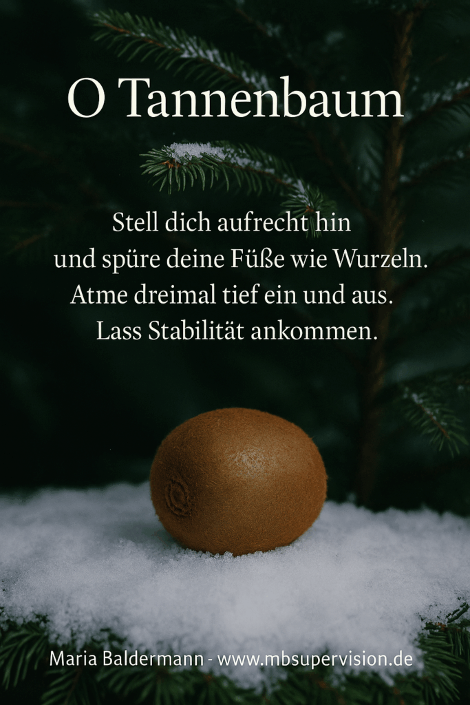 O Tannenbaum Stell dich aufrecht hin und spüre deine Füße wie Wurzeln. Atme dreimal tief ein und aus. Lass Stabilität ankommen.