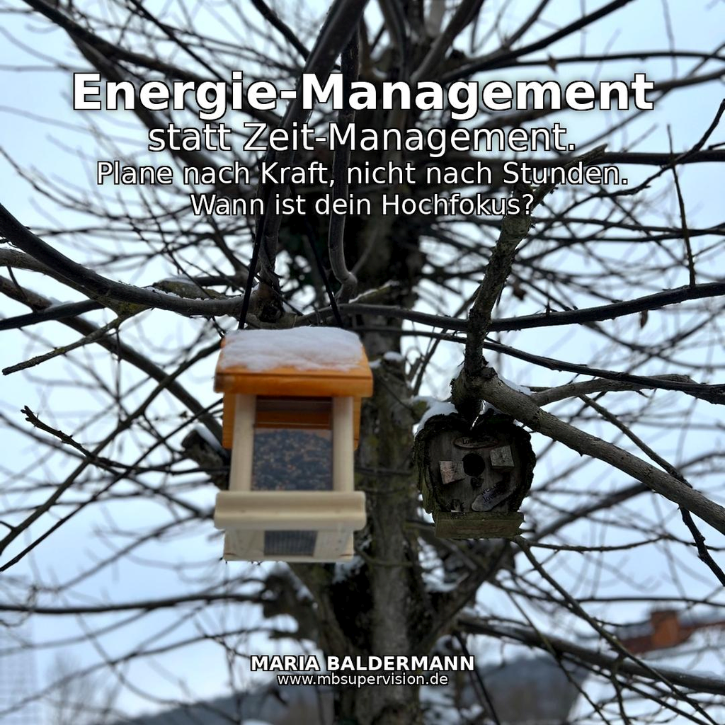 An einem winterlichen Baum hängt ein neues Futterhäuschen neben einem älteren Nistkasten, Text: Energie-Management statt Zeit-Management. Plane nach Kraft, nicht nach Stunden. Wann ist dein Hochfokus?