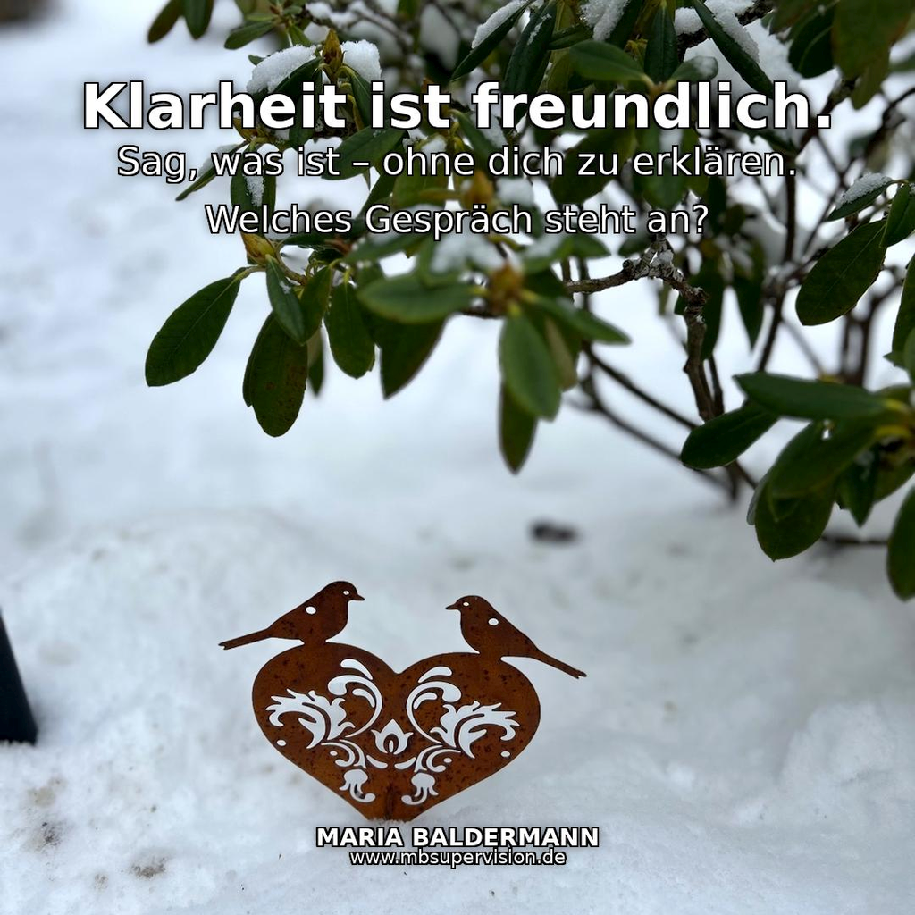 Ein Gartenstecker in Herzform mit zwei Vögeln steckt unter einem Rhododendron im Schnee. Text: Klarheit ist freundlich. Sag, was ist - ohne dich zu erklären. Welches Gespräch steht an?