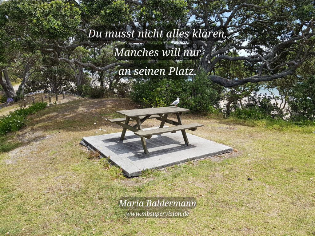 Auf dem Tisch einer Picknickgarnitur sitzt eine Möve. Dahinter einige knorrige Bäumen, zwischen denen ein Strand erkennbar ist. Davor der Text: Du musst nicht alles klären. Manches will nur an seinen Platz.