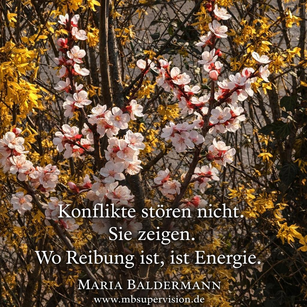 Ein Fliederbusch und der Text: Konflikte stören nicht. Sie zeigen. Wo Reibung ist, ist Energie.