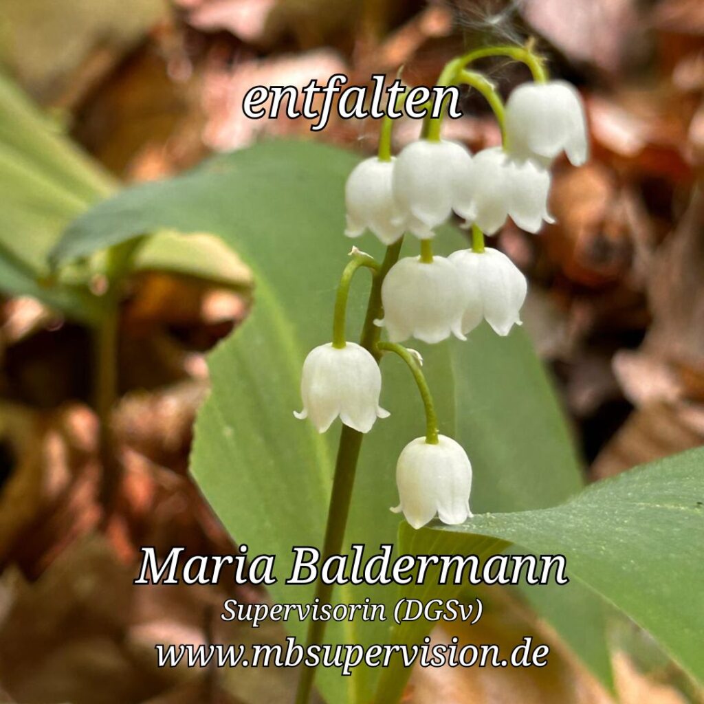 Weiße Maiglöckchen mit glockenförmigen Blüten hängen an einem grünen Stiel. Die Blätter sind groß und grün. Im Hintergrund unscharfe braune und grüne Elemente, vermutlich Laub. Im oberen Bereich steht das Wort 'entfalten'. Unten im Bild sind der Name 'Maria Baldermann', die Berufsbezeichnung 'Supervisorin (DGSV)' und die Internetadresse 'www.mbsupervision.de' zu lesen.
