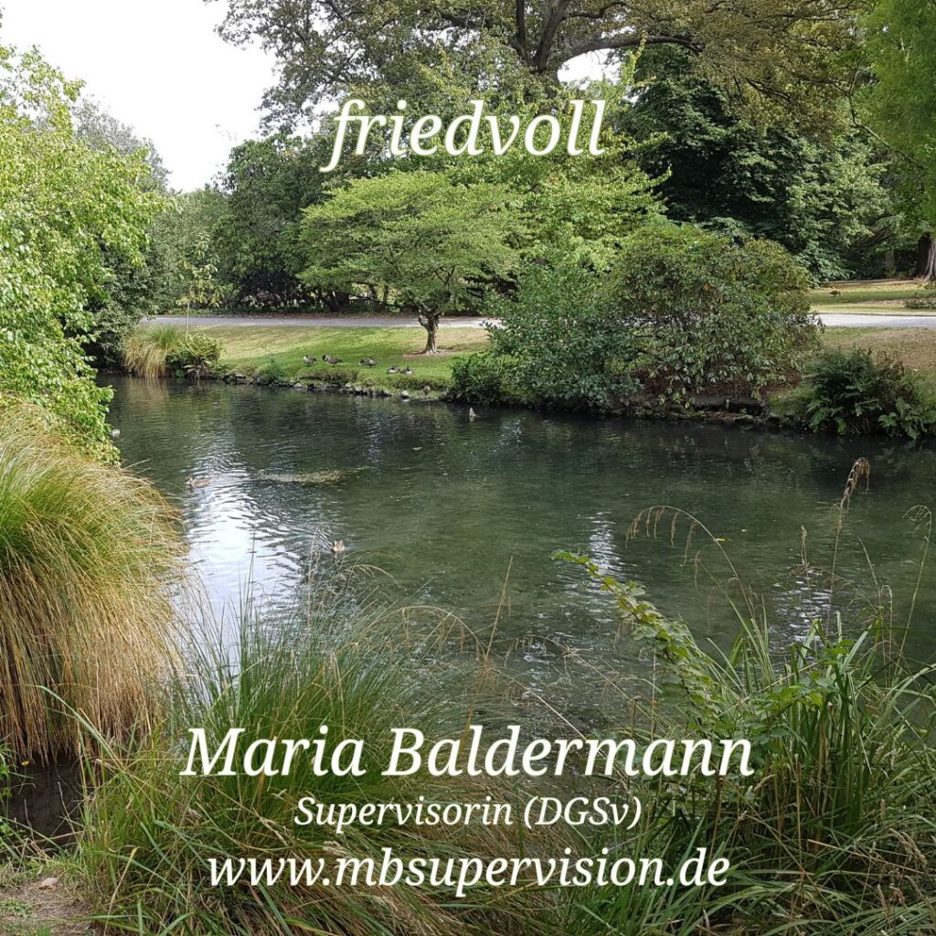 Im Vordergrund fließt ein ruhiger Fluss, dessen diesseitiges Ufer von dichtem, grünem Bewuchs gesäumt ist. Am gegenüberliegenden Ufer verläuft ein Weg durch eine Parklandschaft mit Gras, Sträuchern und Bäumen. Etwa ein Dutzend Enten sind zu sehen, die meisten am Ufer, einige im Wasser. Im oberen Bereich steht in weißer Schrift das Wort 'friedvoll'. Unten im Bild sind der Name 'Maria Baldermann', die Berufsbezeichnung 'Supervisorin (DGSV)' und die Internetadresse 'www.mbsupervision.de' zu lesen.