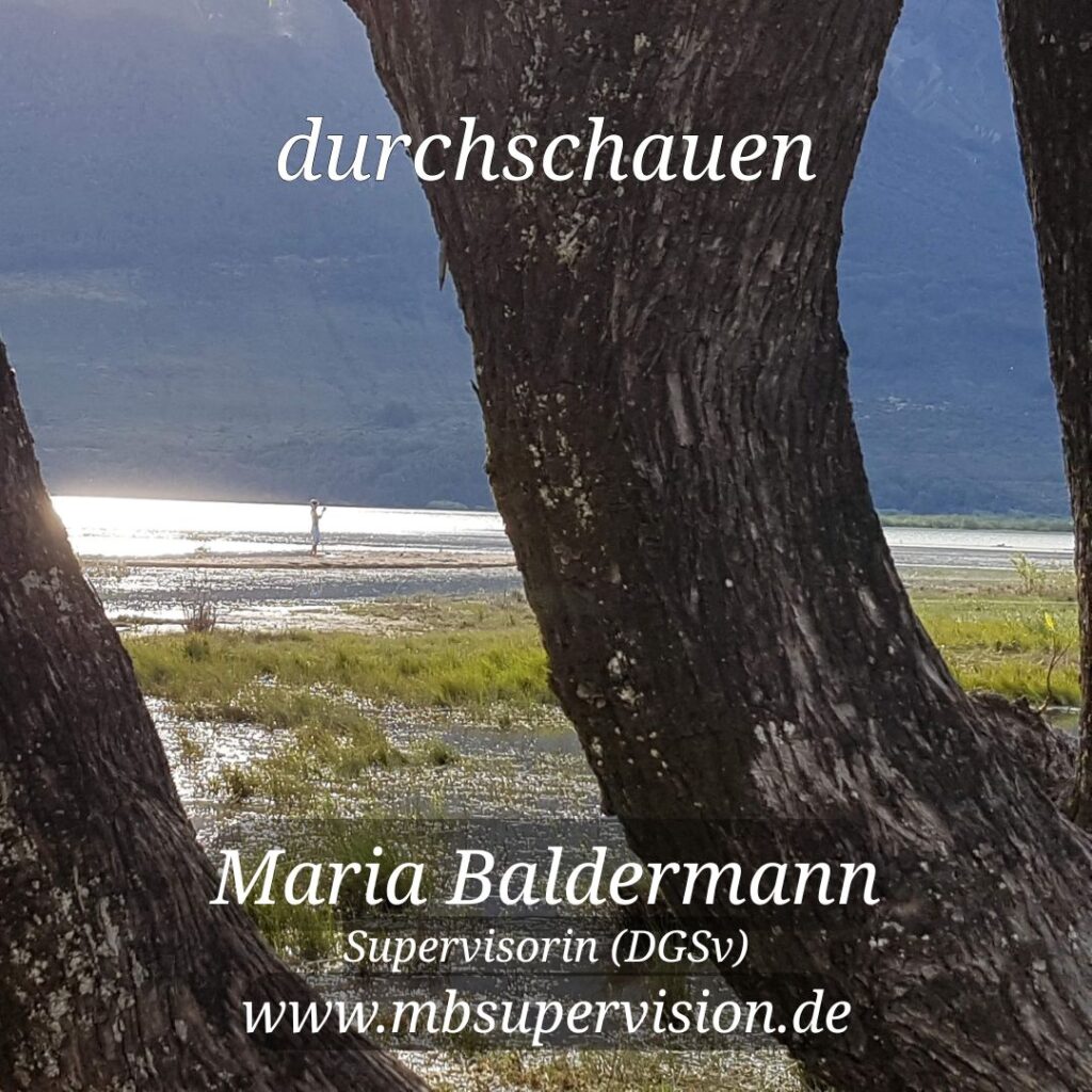 Drei Baumstämme mit dunkler, rauer Rinde im Vordergrund rahmen den Blick auf eine Landschaft mit Gras und Wasser. Die Lichtreflexe auf dem Wasser erschweren es, eine Person zu erkennen, die wohl in die Ferne blickt. Oben steht das Wort 'durchschauen'. Unten im Bild sind der Name 'Maria Baldermann', die Berufsbezeichnung 'Supervisorin (DGSV)' und die Internetadresse 'www.mbsupervision.de' zu lesen.