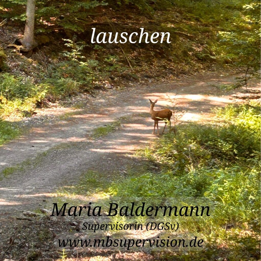 Ein Reh steht auf einem geschwungenen Waldweg, der von dichtem, grünem Laub umgeben ist. Sonnenlicht, fällt durch die Bäume. Der Weg ist von Gras und niedrigen Sträuchern gesäumt. Im oberen Bereich steht mittig das Wort 'lauschen'. Unten im Bild sind der Name 'Maria Baldermann', die Berufsbezeichnung 'Supervisorin (DGSV)' und die Internetadresse 'www.mbsupervision.de' zu lesen.