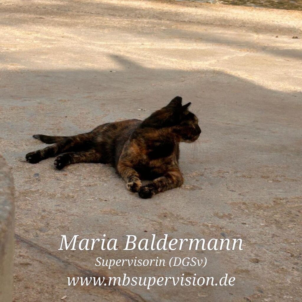 Eine dunkel gemusterte Katze liegt ausgestreckt im Schatten auf dem Strand und blickt nach links. Der Schatten endet kurz hinter der Katze. Unten im Bild sind der Name 'Maria Baldermann', die Berufsbezeichnung 'Supervisorin (DGSV)' und die Internetadresse 'www.mbsupervision.de' zu lesen.
