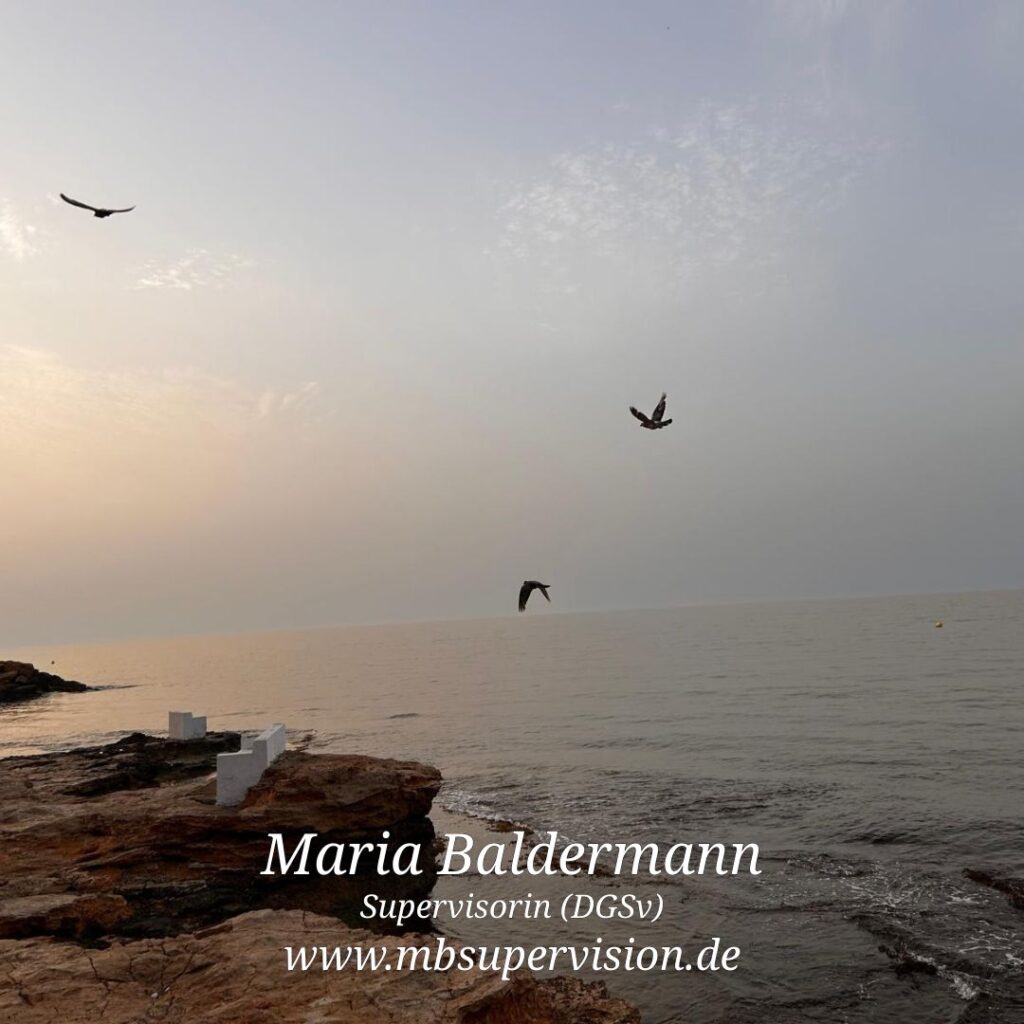 Küstenlandschaft mit ruhigem Meer und felsigem Ufer im Vordergrund. Drei Vögel fliegen über das Wasser, der Himmel ist leicht bewölkt und in sanften Pastellfarben gehalten. Am linken Bildrand sind einige weiße kubische Strukturen (Sitzbänke) auf den Felsen zu erkennen. Unten im Bild sind der Name 'Maria Baldermann', die Berufsbezeichnung 'Supervisorin (DGSV)' und die Internetadresse 'www.mbsupervision.de' zu lesen.