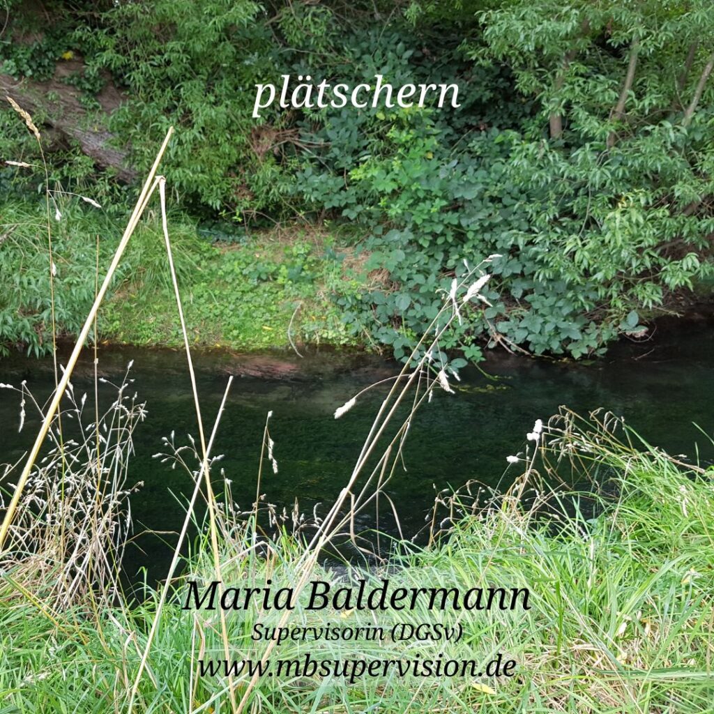 Im Vordergrund wachsen hohe Gräser und Wildpflanzen, dahinter fließt ein schmaler Bach mit dunklem Wasser. Am gegenüberliegenden Ufer stehen dichte, grüne Sträucher und Bäume. Oben mittig steht das Wort 'plätschern'. Im unteren Bereich sind der Name 'Maria Baldermann', die Berufsbezeichnung 'Supervisorin (DGSV)' und die Internetadresse 'www.mbsupervision.de' zu lesen.
