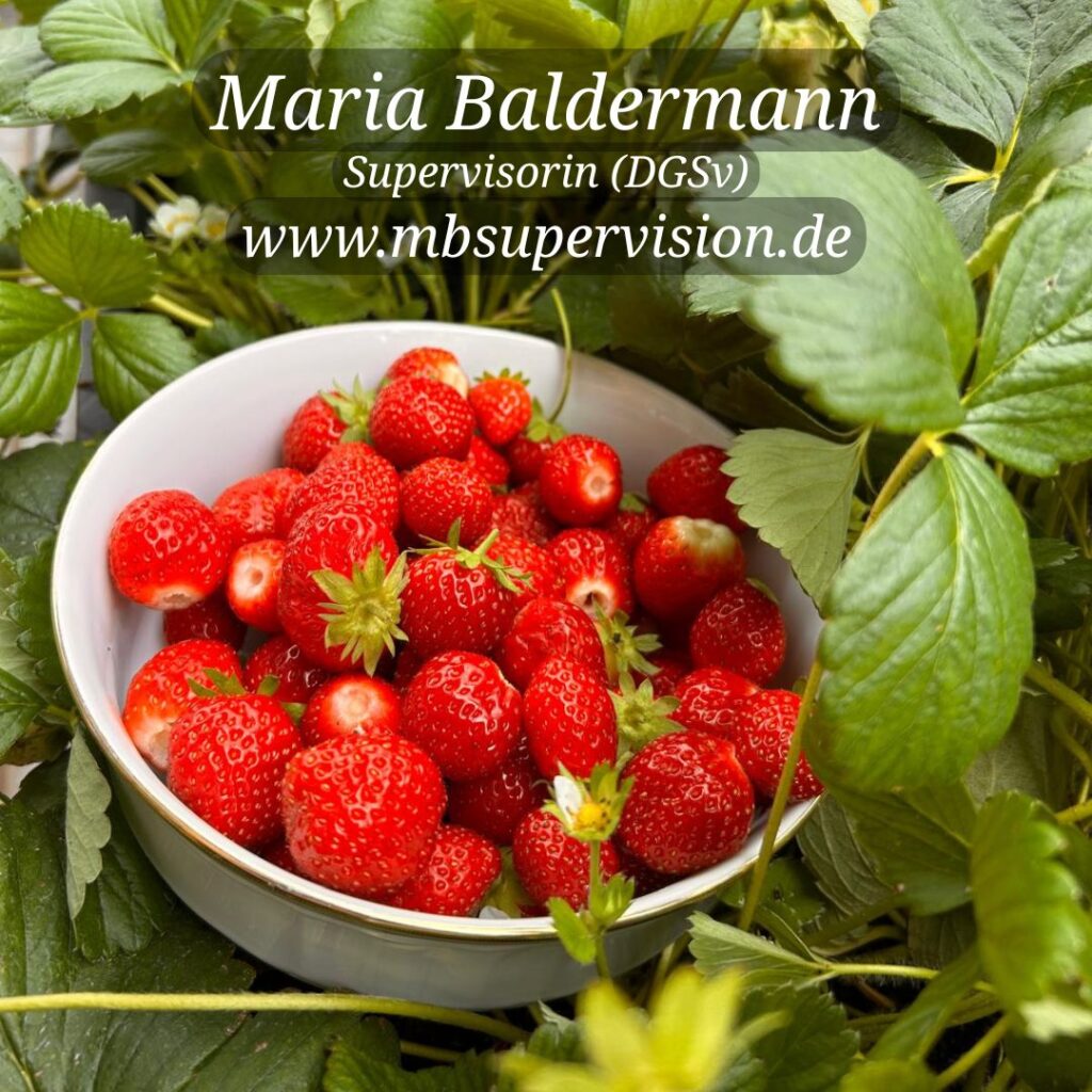 Eine weiße Schale, die mit frischen, roten Erdbeeren gefüllt ist, befindet sich zwischen grünen Erdbeerblättern. Oben im Bild steht in weißer Schrift: 'Maria Baldermann Supervisorin (DGSv) www.mbsupervision.de'.