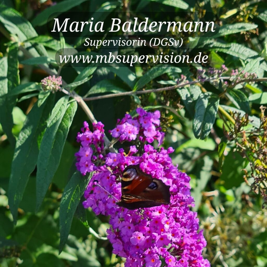 Ein Tagpfauenauge mit auffälligen Augenflecken auf den braunen Flügeln sitzt auf einer leuchtend violetten Fliederblüte an einem Zweig mit grünen, länglichen Blättern. Im Hintergrund sind weitere Blätter und Blüten zu sehen. Im oberen Bereich sind der Name 'Maria Baldermann', die Berufsbezeichnung 'Supervisorin (DGSV)' und die Internetadresse 'www.mbsupervision.de' zu lesen.