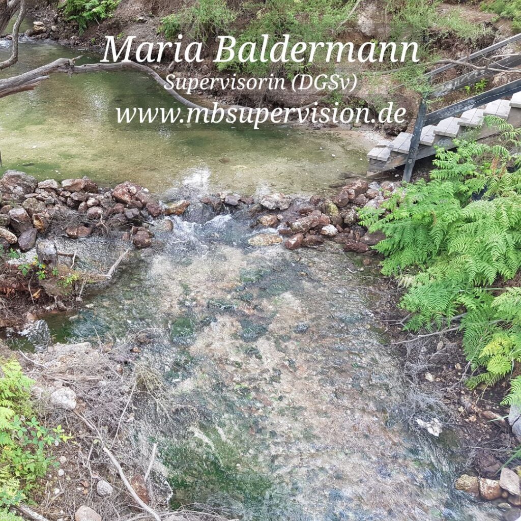Ein klarer Bach fließt über einen Wall aus kleinen Steinen und bildet leichte Strömungen. Am Ufer wachsen Farne und andere Pflanzen. Rechts im Hintergrund führt eine Treppe mit Metallgeländer zum Wasser. Links ragt ein Ast ins Bild. Im oberen Bereich sind der Name 'Maria Baldermann', die Berufsbezeichnung 'Supervisorin (DGSV)' und die Internetadresse 'www.mbsupervision.de' zu lesen.
