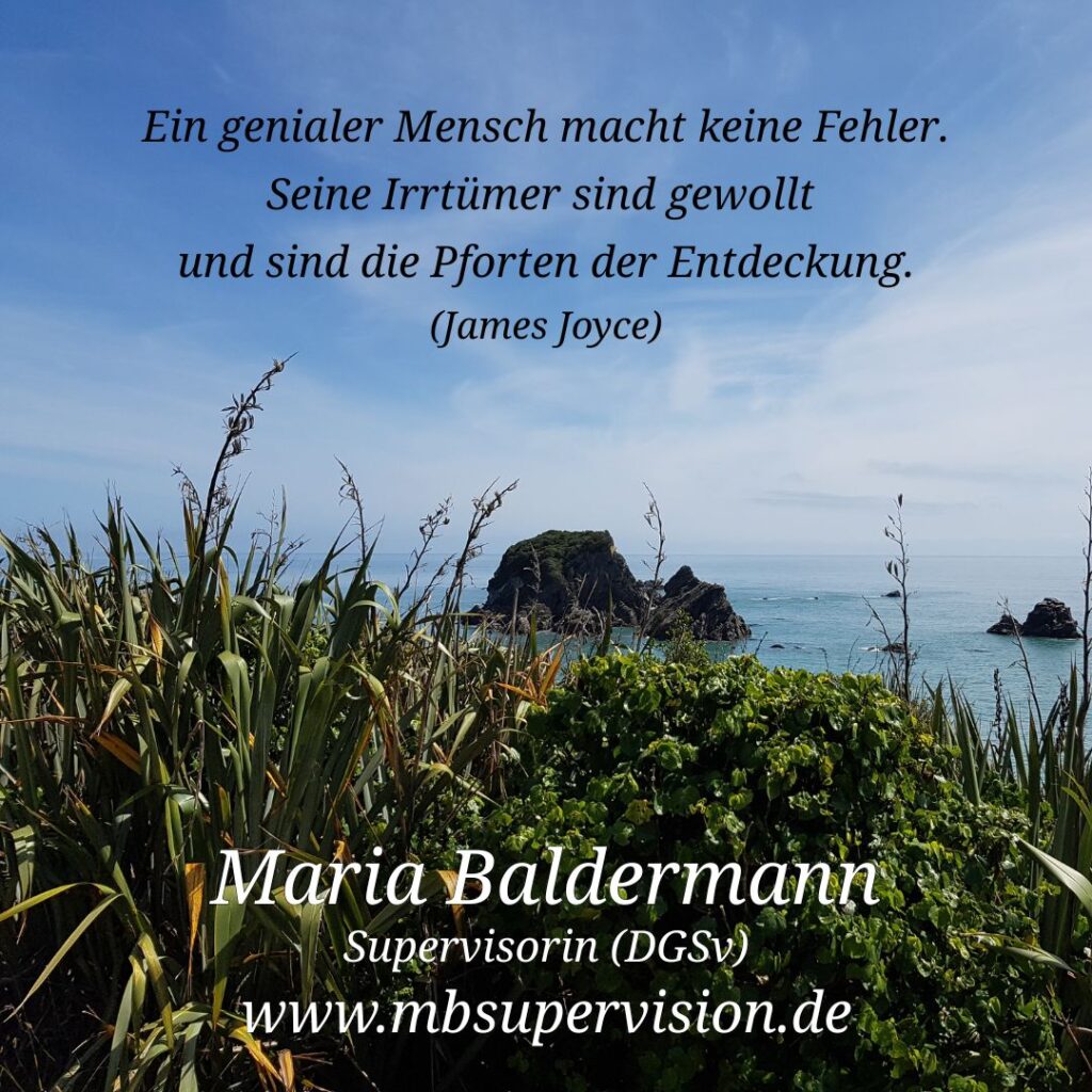 Im Vordergrund stehen hohe, grüne Gräser und Pflanzen. Dahinter ist das Meer mit Felsen im Wasser zu sehen, der Himmel ist leicht bewölkt. In der oberen Bildhälfte steht mittig ein Zitat: 'Ein genialer Mensch macht keine Fehler. Seine Irrtümer sind gewollt und sind die Pforten der Entdeckung. (James Joyce)'. Im unteren Bereich sind der Name 'Maria Baldermann', die Berufsbezeichnung 'Supervisorin (DGSV)' und die Internetadresse 'www.mbsupervision.de' zu lesen.