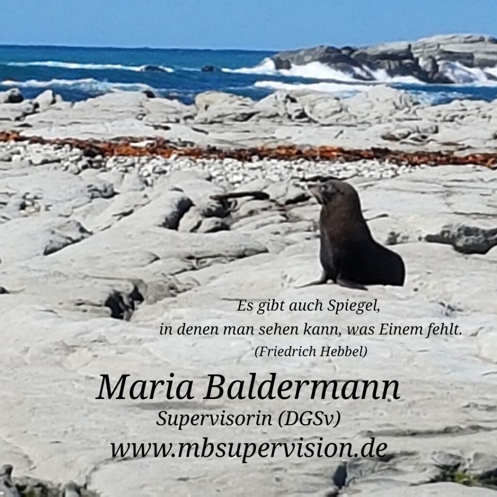 Im Vordergrund sitzt ein dunkelbrauner Seehund auf hellem, felsigem Untergrund. Dahinter erstreckt sich eine Küstenlandschaft mit braunen Algenstreifen, weißen Felsen und blauem Meer. Der Himmel ist klar und hellblau. In der unteren Bildhälfte steht ein Zitat - 'Es gibt auch Spiegel, in denen man sehen kann, was Einem fehlt. (Friedrich Hebbel)' sowie der Name 'Maria Baldermann', die Berufsbezeichnung 'Supervisorin (DGSV)' und die Internetadresse 'www.mbsupervision.de'.